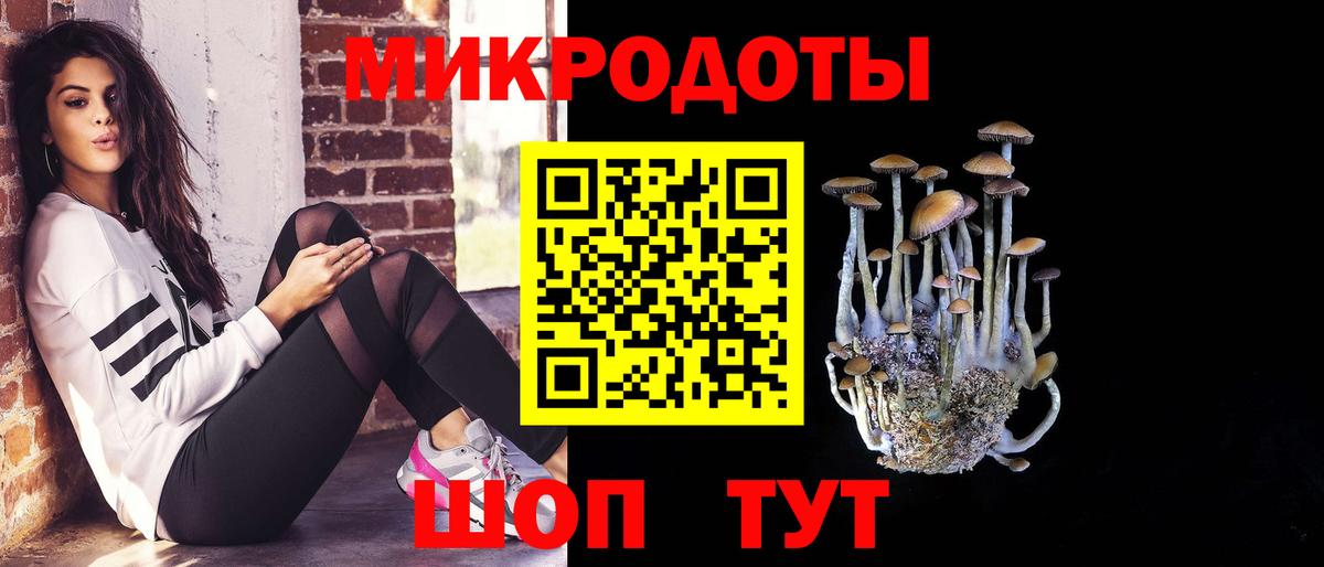 Муром  Галлюциногенные грибы Psilocybe  как найти наркотики  Вход с VPN 