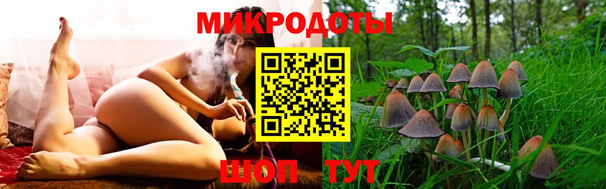 Псилоцибиновые грибы Cubensis Муром
